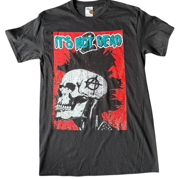 Rancid "It's Not Dead" tour tee #punkrock
Delta Pro Weight
Pit to pit 17 inches - Picture 1 of 7